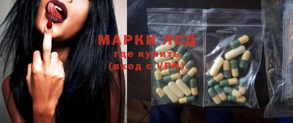 стафф Ельня