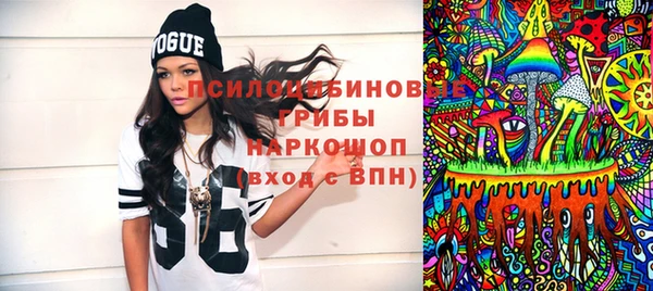 стафф Ельня