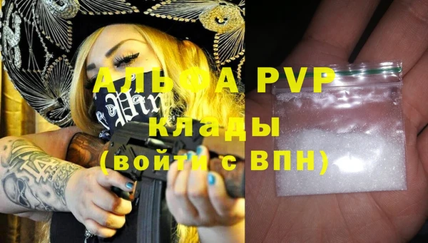 стафф Ельня