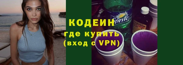стафф Ельня
