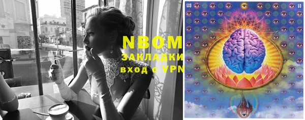 стафф Ельня
