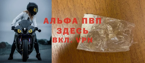 стафф Ельня