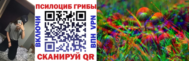 Псилоцибиновые грибы Magic Shrooms  купить наркотики сайты  блэк спрут tor  Черкесск 